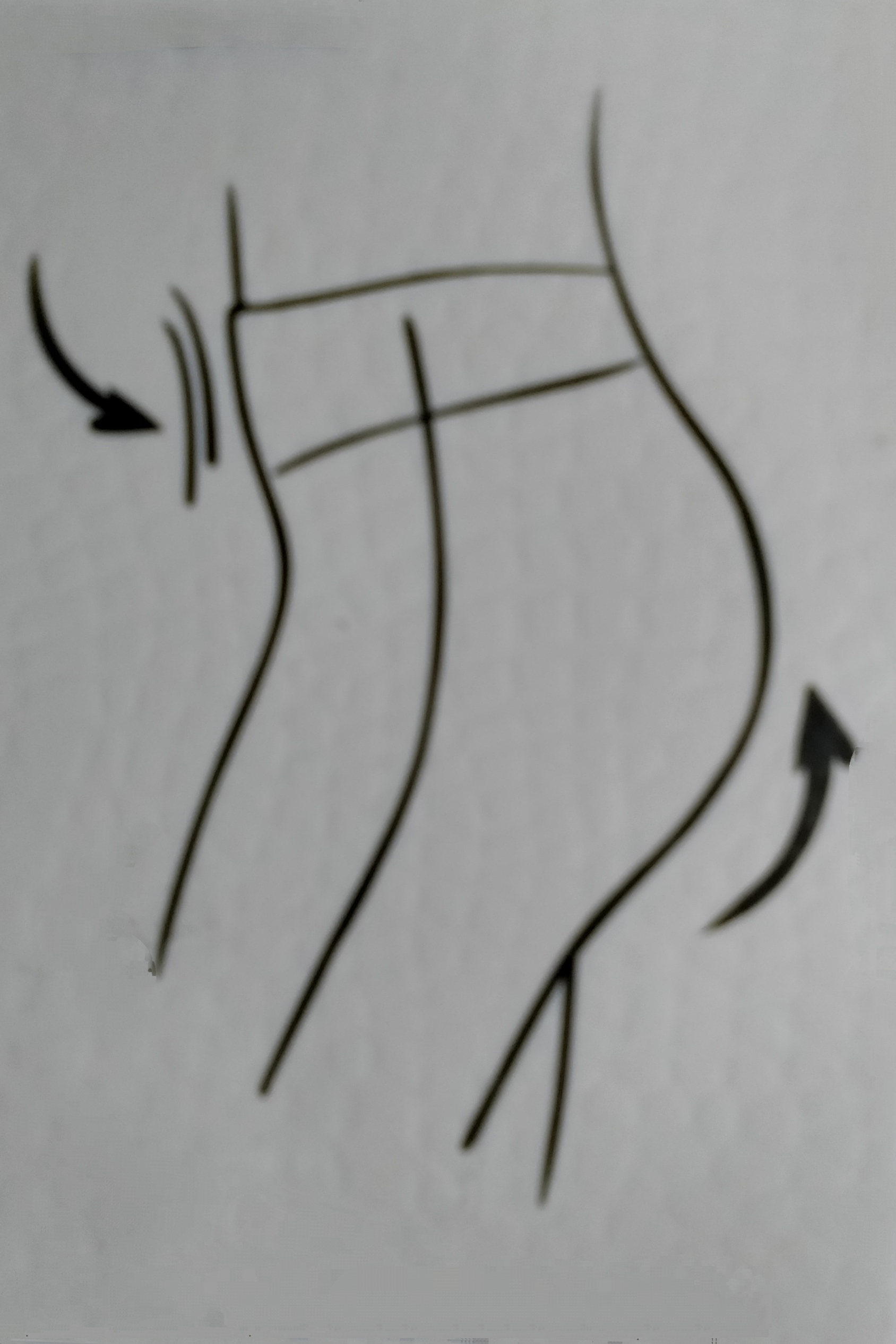 IMG_20240109_154928 ΚΟΛΑΝ